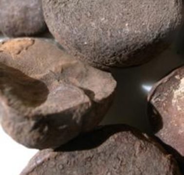 Cola noci