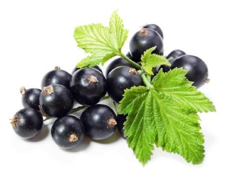 Ribes nero frutti 7,0%