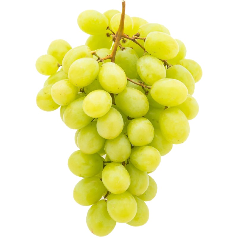 Organic Grape - Greenfield